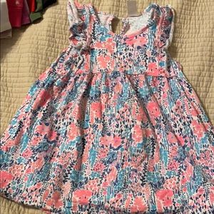 Oshkosh girls 5 dress